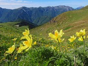 Laghi di Ponteranica dai Piani dell’Avaro con splendide fioriture – 1giu26  - FOTOGALLERY
